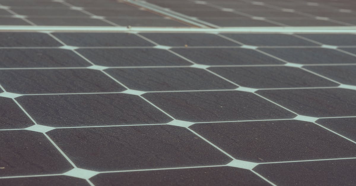 Approvisionnement durable : stratégies pour réduire l’impact environnemental