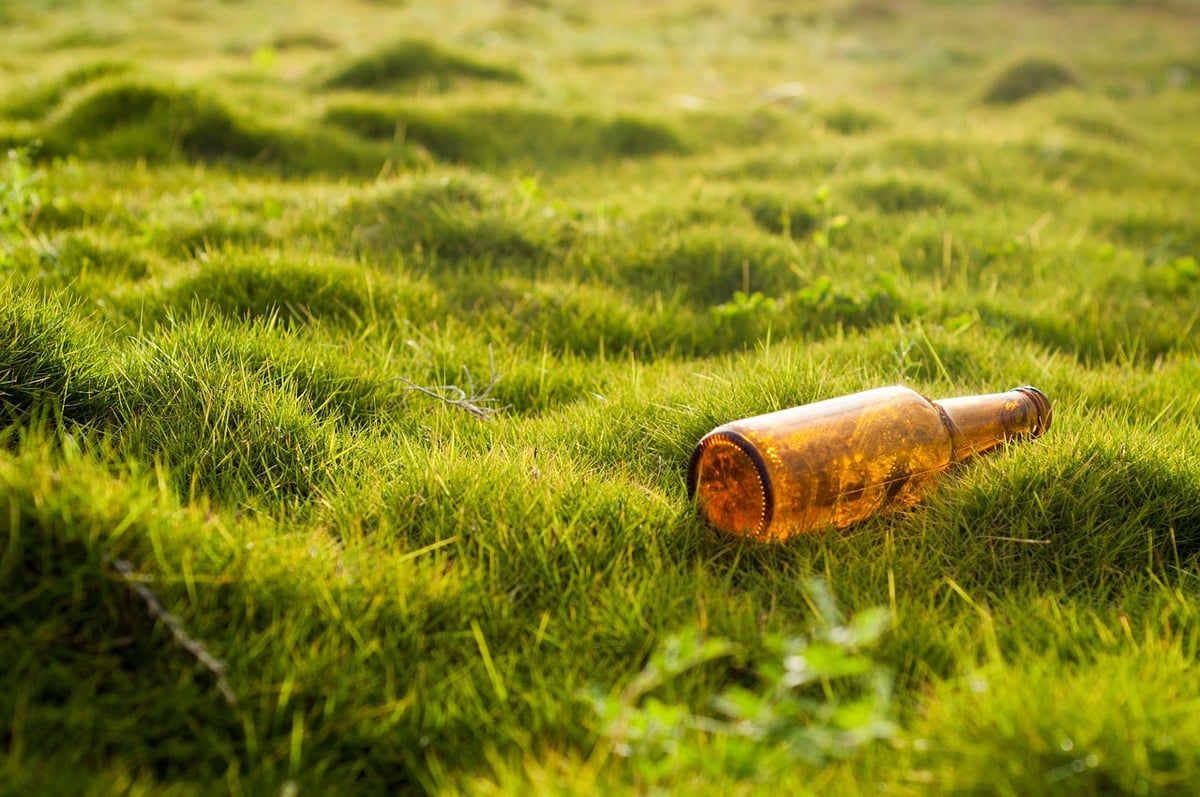 Prise de conscience croissante des chercheurs sur l’impact environnemental de leurs travaux