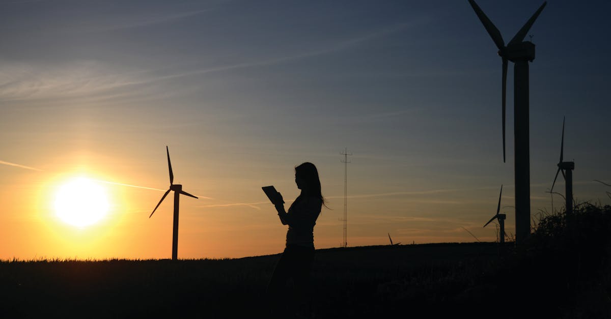 Stratégie de durabilité : Comment les entreprises peuvent intégrer des pratiques écoresponsables