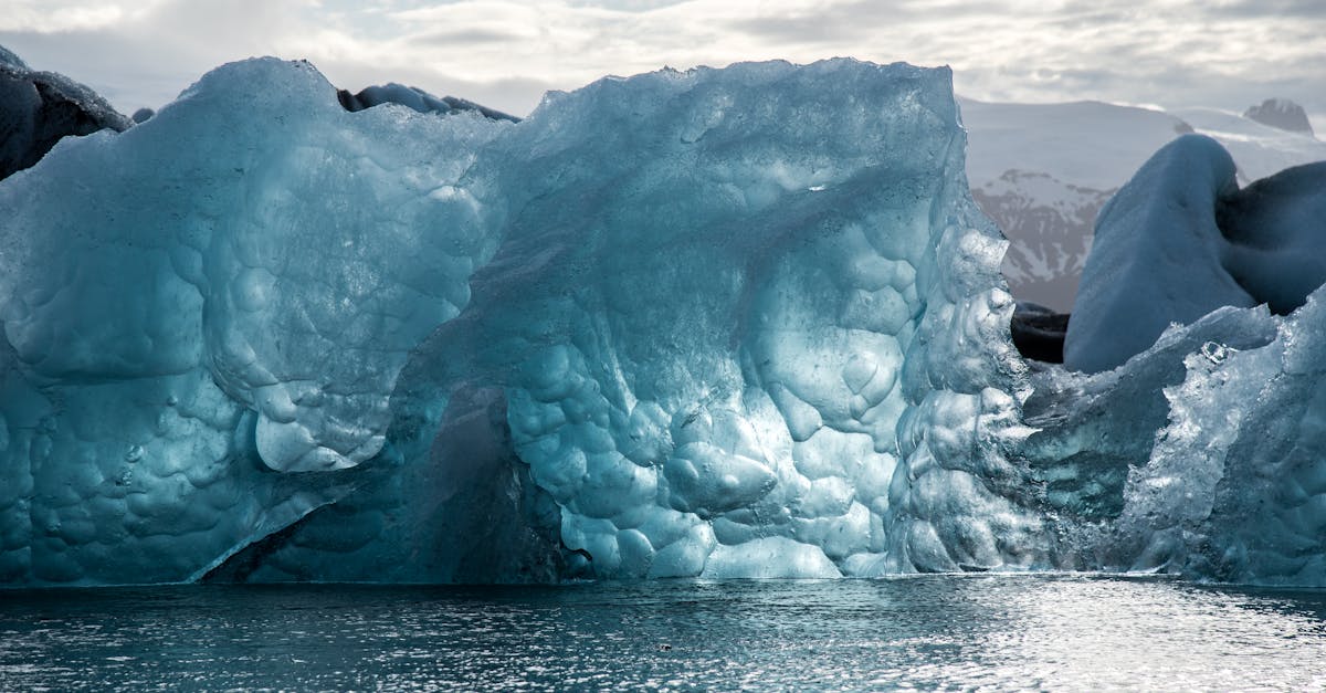 Effets du changement climatique sur la biodiversité mondiale