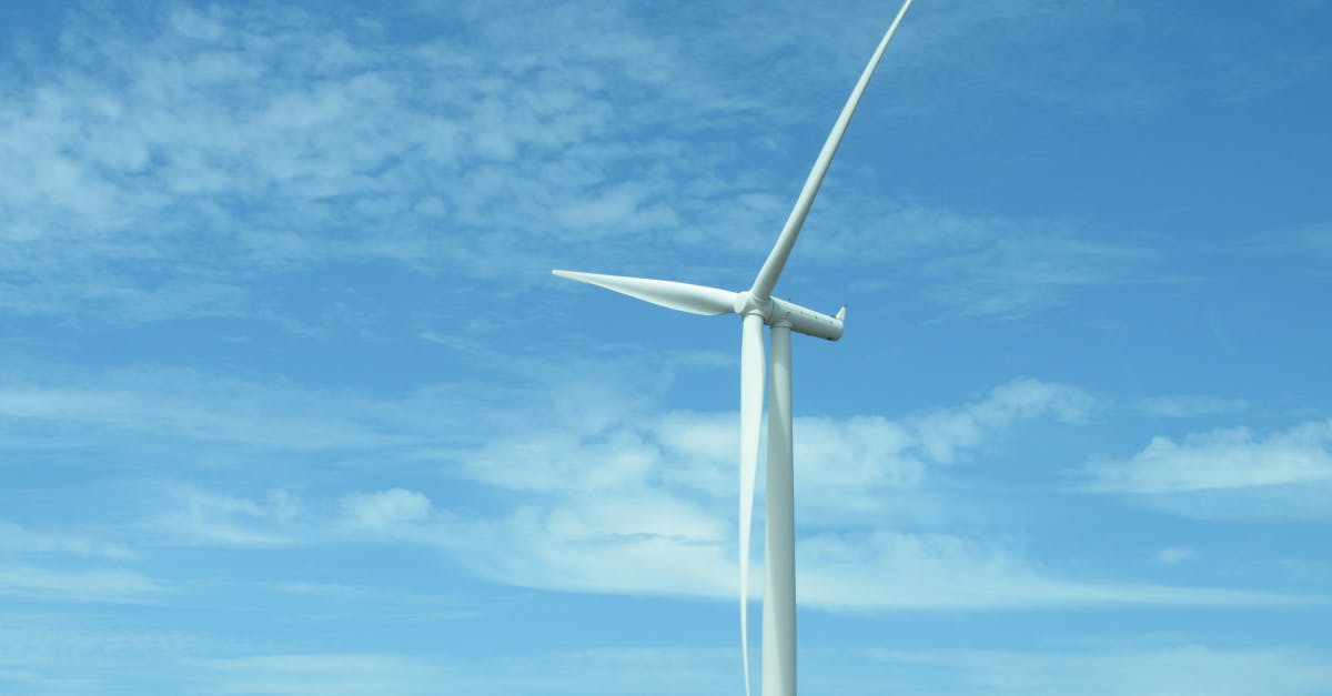 Impact social et environnemental : Comprendre les enjeux pour un avenir durable