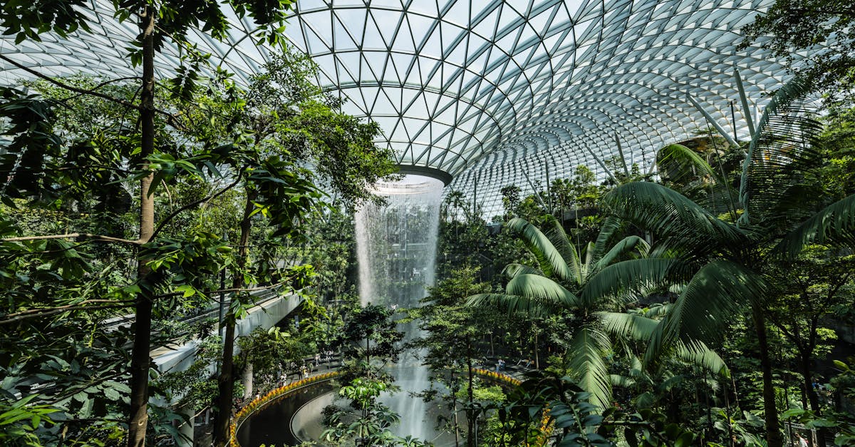 découvrez comment l'urbanisme durable transforme nos villes en espaces écologiques et résilients. explorez des solutions innovantes pour un développement urbain harmonieux, alliant respect de l'environnement et qualité de vie.